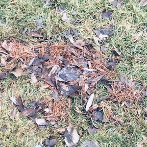 Meet your Posher, Jayjay